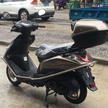 ����VF100T