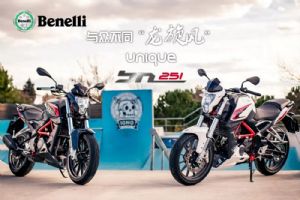 ������ BenelliС���� BJ250-15��Ʒ�ֲᣨŷ��С������