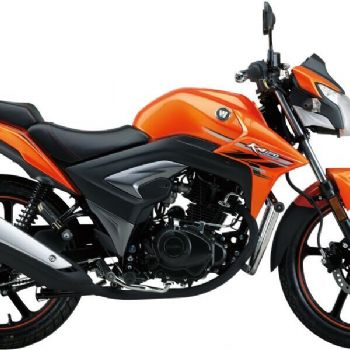 ������ľ KA150 HJ150-22