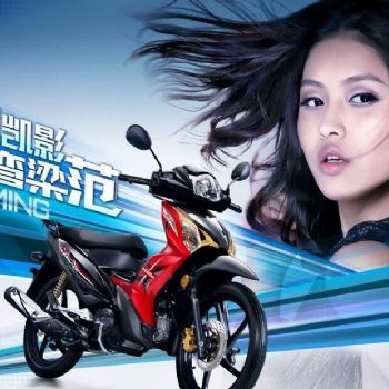 ����-���� ��Ӱ125 WH125-13������������