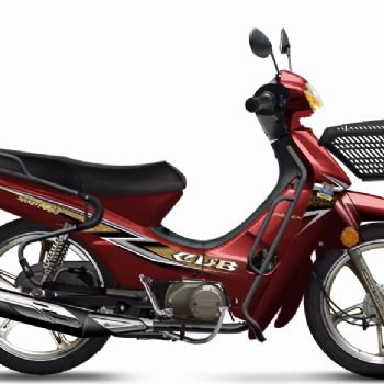 ���� ���� ZS110-9S������