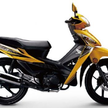����-���� ���100 WH100-2��������