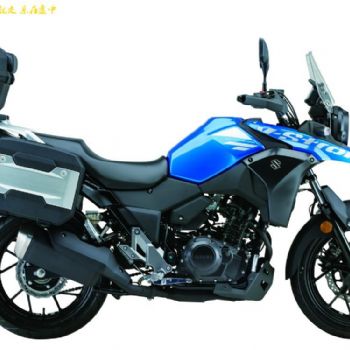 ������ľ  DL250