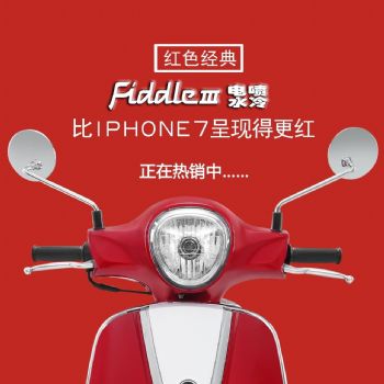  ����FIDDLEIII