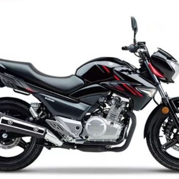 ��ľ���WG250