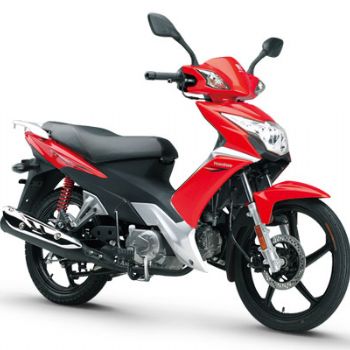 ������ľ�ŵ�HJ110-3������