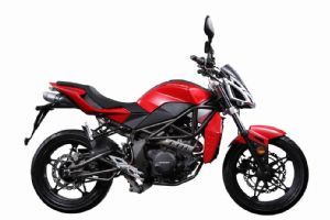 ���� �ױ� ZS250GS-3