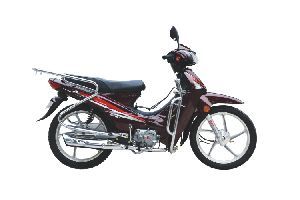���� ���� YG110-A