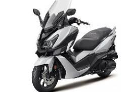 ����CRUISYM300̤�峵������̤�峵