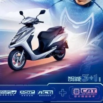 ������ �Ӱ110 WH110T-6A(2018 ���İ�)��