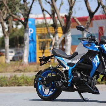  �¸о�����ս��XGJ250-3�¿�ֳ�����ˮ��˫��6��