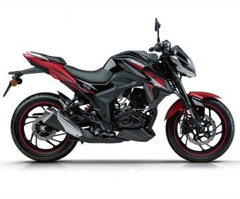 ������ľ DR160�ֳ� HJ150-10DĦ�г���
