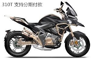 ����310T������   ֧�ַ��ڸ���