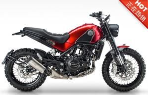 ��ʨBJ500