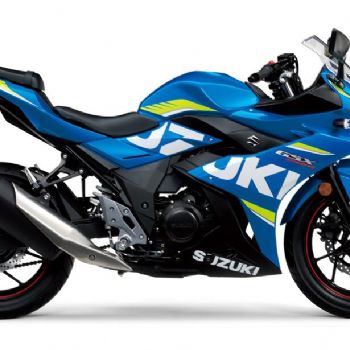 ������ľ  GSX250R