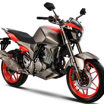 ���� ���� ZT250-S