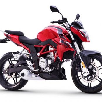 ¡�� 300R LX300-6A