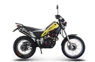�ƺ� ħ��ʦ HH250GY