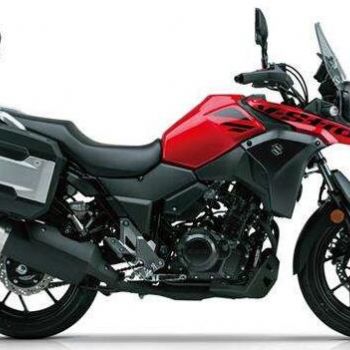 ������ľ  DL250