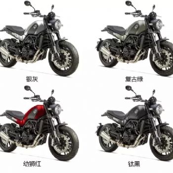 ��������ʨ500