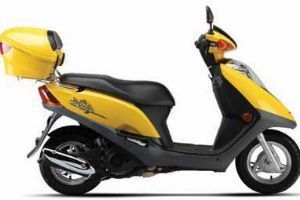 ��ľ