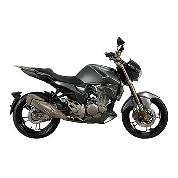  ����ZT250-R����������