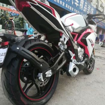 �޼�300RR LX300GS-B