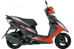 ��ӥ RSZ FY100T-8B