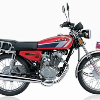 ���  ZF125-5(A)