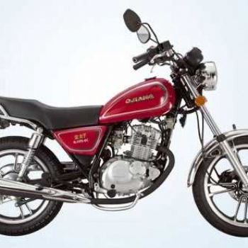 Ǯ�� Ѳ���� QJ250-J