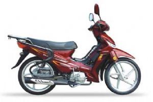 ϲ�� LX110-31A(WDX)