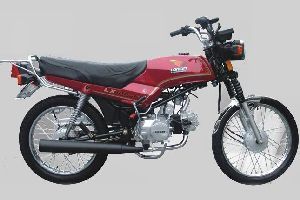 ӥ�� LX100-33