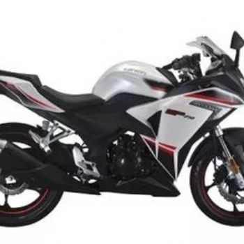 ¡��250GS-2