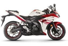 �¸о�����ս��XGJ250-3�ܳ�