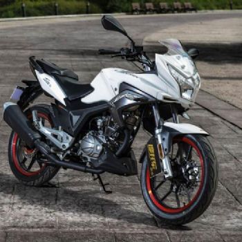 ���� Z-one-T ZS150-48A(���а�)��