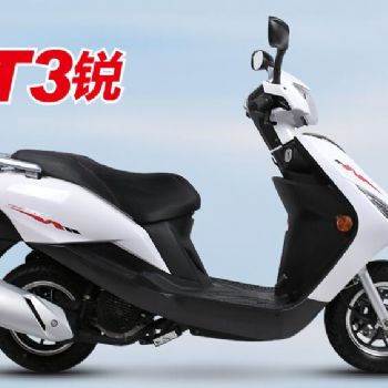 ���� ZT3���� ZS125T-20