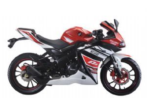 �¸о�  XGJ250-28