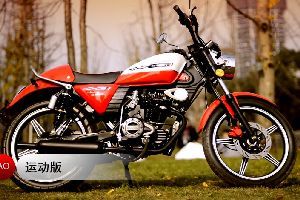 �¸о�  XGJ150-31(������)