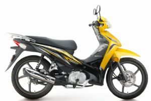 �´��ޱ��� ��Ʈ�� SDH110-16A