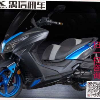 ������ͧL300