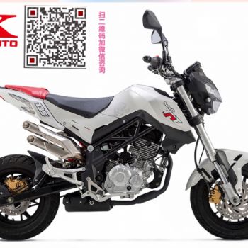 Benelli ������С����xx125(BJ125-3E) Mini���硭