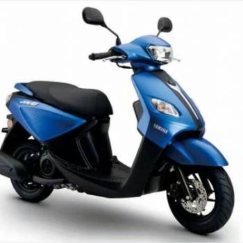 ����������ZY125T-13