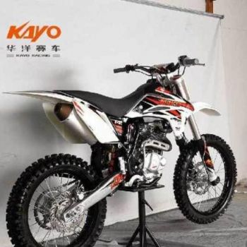 ����T4