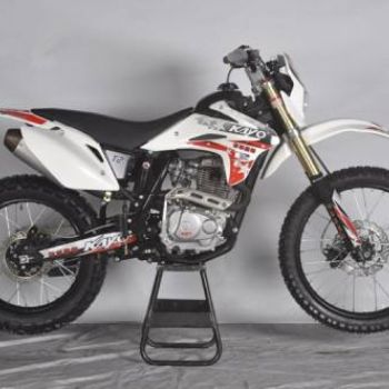 ����T2