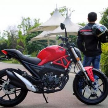 ����  �����250-8