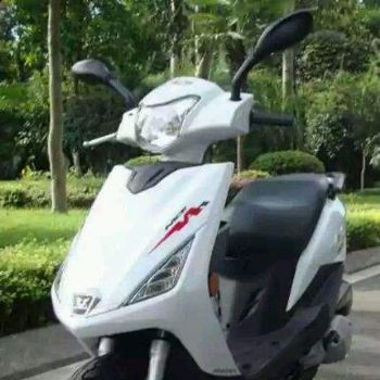 ����ZS125T-20
