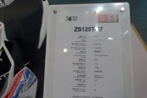 ����MOսZS125T-57ֱ��Ħ���᣺����ZT5