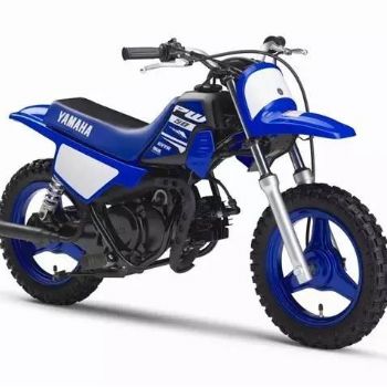 ȫ��������pw50