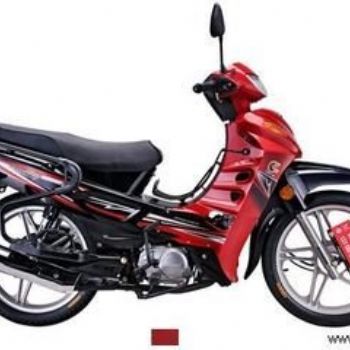 ����ZS110-53 �ƶ��� V�ſ��