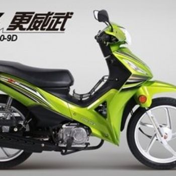 ������ ZS110-9D  V5